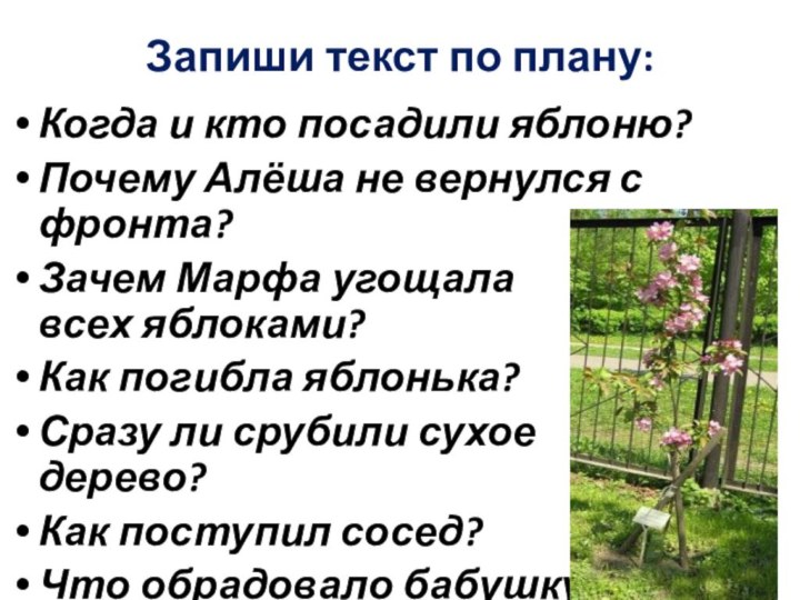 Запиши текст по плану:Когда и кто посадили яблоню?Почему Алёша не вернулся с