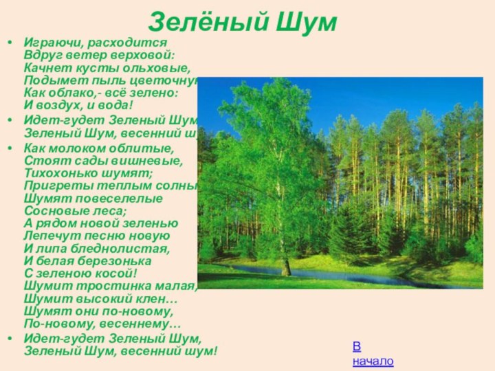 Зелёный ШумИграючи, расходится Вдруг ветер верховой: Качнет кусты ольховые, Подымет пыль цветочную,