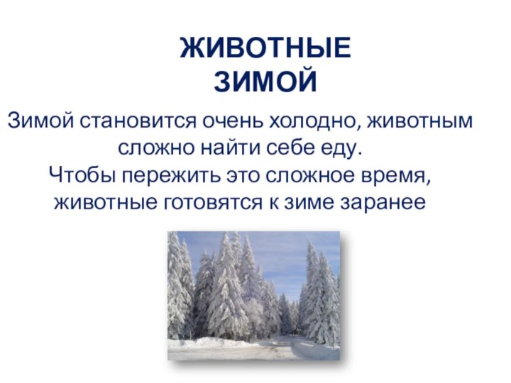 Зимой становится очень холодно, животным сложно найти себе еду. Чтобы пережить это