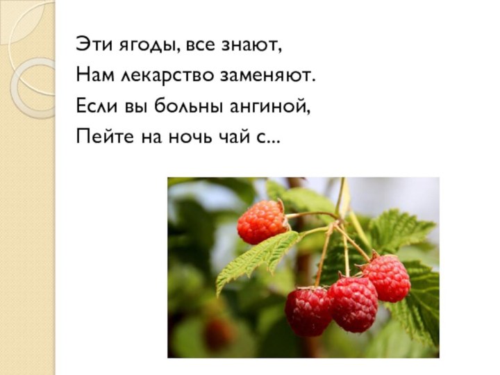 Эти ягоды, все знают,Нам лекарство заменяют.Если вы больны ангиной,Пейте на ночь чай с...