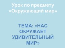 Презентация к уроку Нас окружает удивительный мир презентация к уроку по окружающему миру (1 класс) по теме