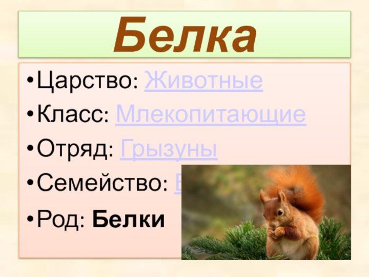 БелкаЦарство: ЖивотныеКласс: МлекопитающиеОтряд: ГрызуныСемейство: БеличьиРод: Белки