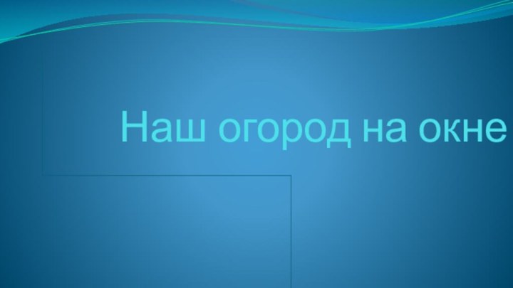 Наш огород на окне