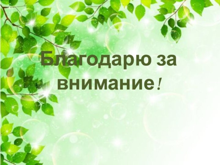 Благодарю за внимание!