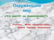 Презентация к уроку окружающего мира 1 класс презентация к уроку по окружающему миру (1 класс)