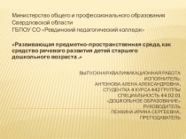 Развивающая предметно- пространственная среда , как средство речевого развития детей в ДОУ методическая разработка (старшая группа)