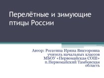 Перелётные и зумующие птицы. презентация к уроку (окружающий мир, 1 класс)