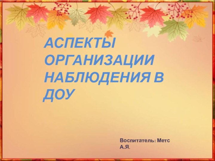 АСПЕКТЫ ОРГАНИЗАЦИИ НАБЛЮДЕНИЯ В ДОУВоспитатель: Метс А.Я.