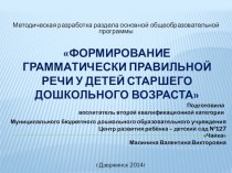 Формирование грамматически правильной речи у детей старшего дошкольного возраста презентация к уроку по развитию речи (подготовительная группа)