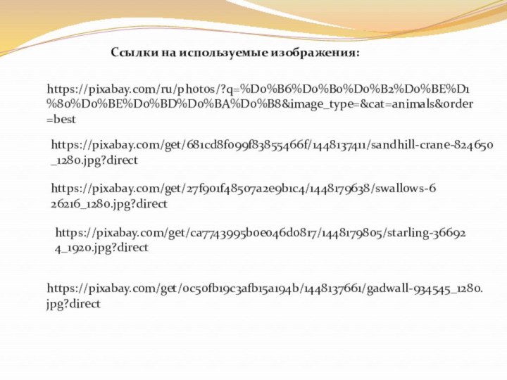 Ссылки на используемые изображения:https://pixabay.com/ru/photos/?q=%D0%B6%D0%B0%D0%B2%D0%BE%D1%80%D0%BE%D0%BD%D0%BA%D0%B8&image_type=&cat=animals&order=besthttps://pixabay.com/get/681cd8f099f83855466f/1448137411/sandhill-crane-824650_1280.jpg?directhttps://pixabay.com/get/0c50fb19c3afb15a194b/1448137661/gadwall-934545_1280.jpg?directhttps://pixabay.com/get/27f901f48507a2e9b1c4/1448179638/swallows-626216_1280.jpg?directhttps://pixabay.com/get/ca7743995b0e046d0817/1448179805/starling-366924_1920.jpg?direct
