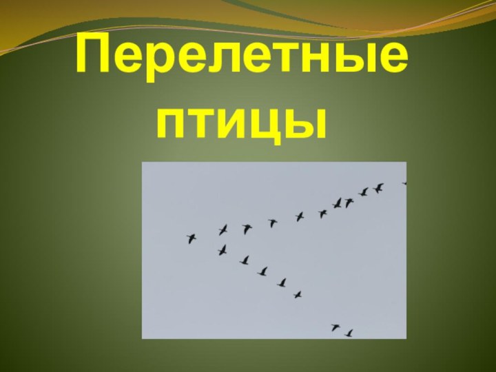 Перелетные птицы