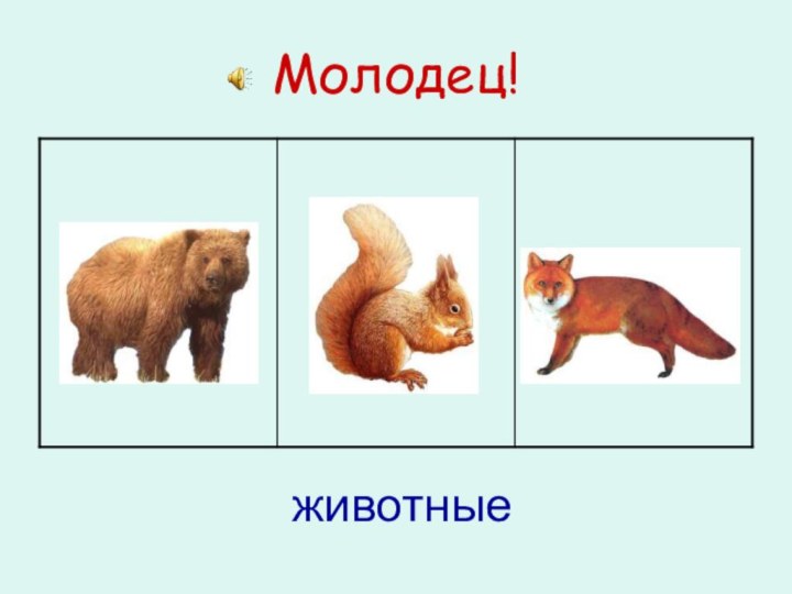 Молодец!животные