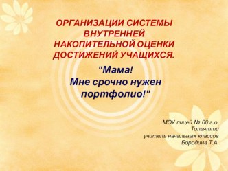 Презентация Организация системы внутренней накопительной оценки достижений учащихся. презентация к уроку по теме