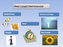 Презентация к уроку русского языка в 3 классе Имя существительное презентация к уроку по русскому языку (3 класс) по теме