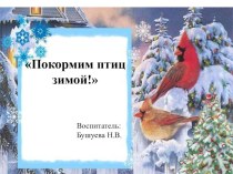 Покормим птиц зимой презентация к уроку по окружающему миру (средняя группа)