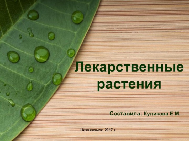 Лекарственные растенияНижнекамск, 2017 г. Составила: Куликова Е.М.