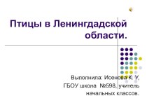 Презентация по окружающему миру Птицы в Ленинградской области. презентация урока для интерактивной доски (2 класс)