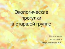 Экологические прогулки в старшей группе презентация к уроку (старшая группа)