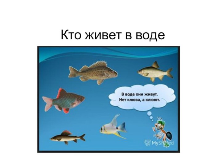 Кто живет в воде