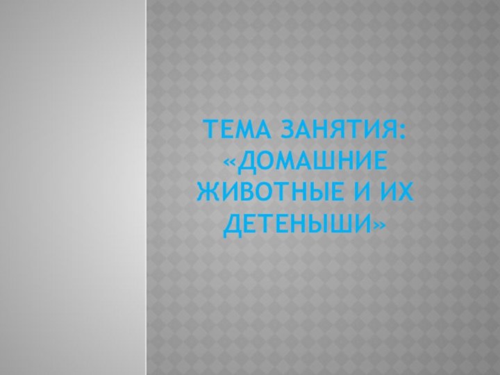 Тема занятия:  «Домашние животные и их детеныши»