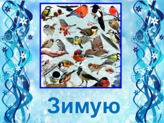 04.03.17. Презентация Зимующие птицы презентация к уроку (младшая группа)