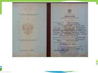 7 elektronnoe portfolio kuchurenko i