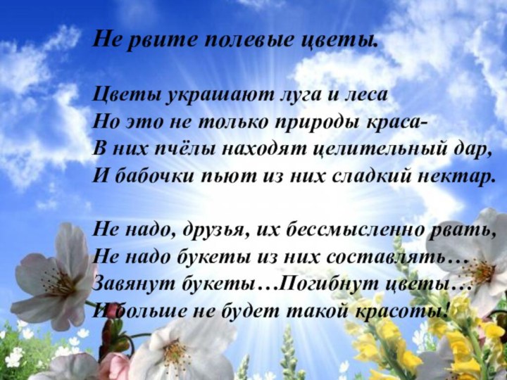 Не рвите полевые цветы. Цветы украшают луга и лесаНо это не только природы