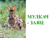Открытый урок по чувашскому языку в 4 классе материал (4 класс)