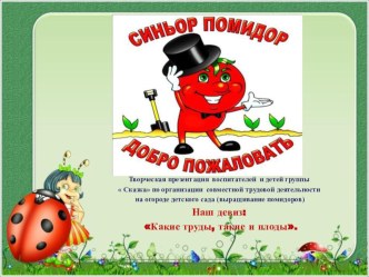 Творческая презентация воспитателей и детей группы  Сказка по организации совместной трудовой деятельности на огороде детского сада (выращивание помидоров) презентация к занятию (старшая группа)
