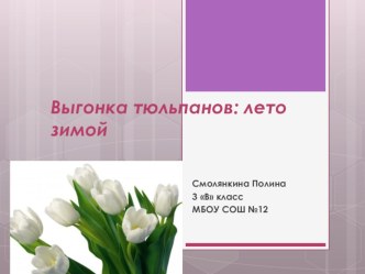 Выгонка тюльпанов. опыты и эксперименты по окружающему миру (3 класс)