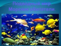Презентация об обитателях морских глубин презентация к уроку по окружающему миру (старшая группа)