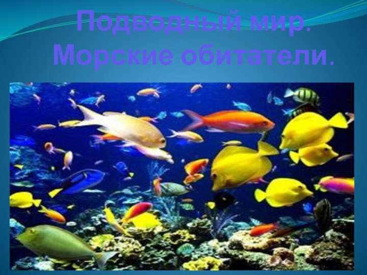 Подводный мир. Морские обитатели.