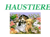 Презентация Домашние животные (Haustiere) презентация к уроку по иностранному языку