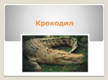 Презентация к ообразовательной деятельности Крокодил презентация к уроку по аппликации, лепке (средняя группа) по теме