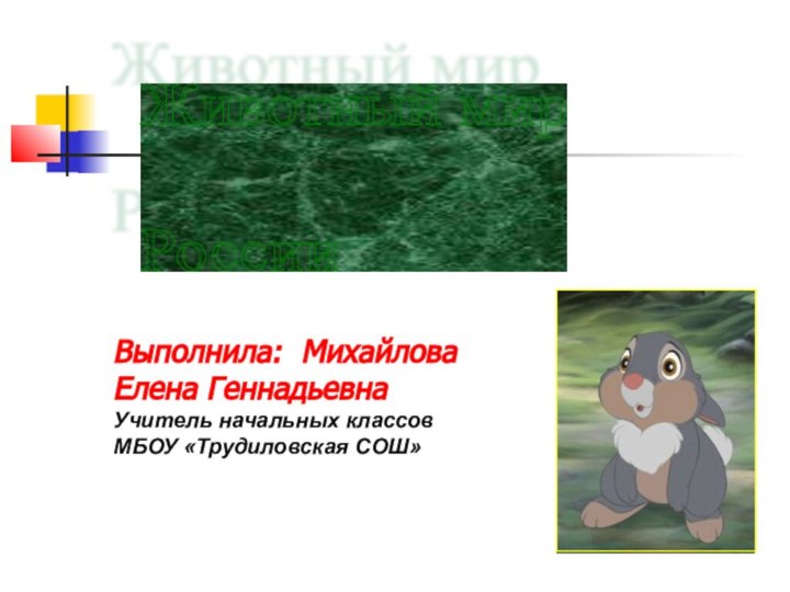 Животный мир  РоссииВыполнила: Михайлова Елена ГеннадьевнаУчитель начальных классовМБОУ «Трудиловская СОШ»