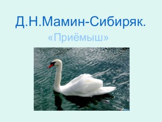 Учебно-методический комплект по литературному чтению за 4 класс  Д.Н.Мамин-Сибиряк Приёмыш. (Школа России) план-конспект урока по чтению (4 класс) по теме