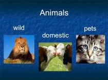 Урок-повторение по теме Животные для 4 класса план-конспект урока по иностранному языку (4 класс) по теме