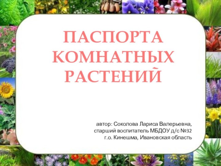 ПАСПОРТА КОМНАТНЫХ РАСТЕНИЙавтор: Соколова Лариса Валерьевна,старший воспитатель МБДОУ д/с №32г.о. Кинешма, Ивановская область