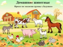Проект Домашние животные методическая разработка по окружающему миру (младшая группа)