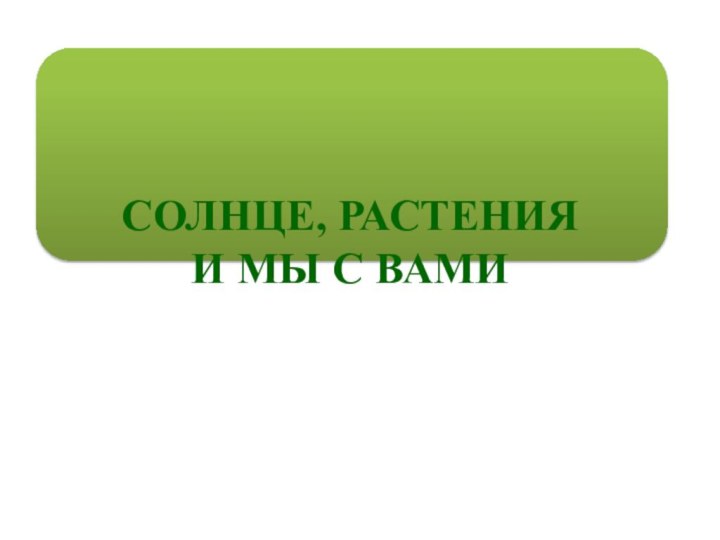 СОЛНЦЕ, РАСТЕНИЯ  И МЫ С ВАМИ