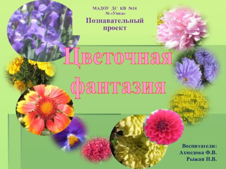 МАДОУ ДС КВ №14 № «Умка» Познавательный проектЦветочная фантазияВоспитатели:Ахмедова Ф.В.Рыжая Н.В.