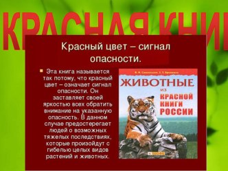 Презентация Красная Книга. Белый медведь презентация к уроку по окружающему миру (подготовительная группа)