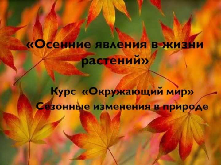 «Осенние явления в жизни растений» Курс «Окружающий мир»Сезонные изменения в природе