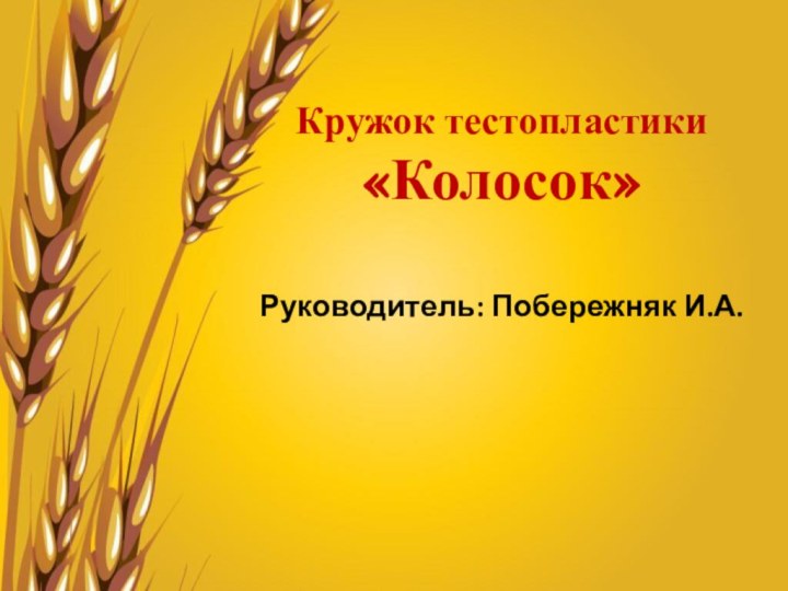 Кружок тестопластики «Колосок»Руководитель: Побережняк И.А.