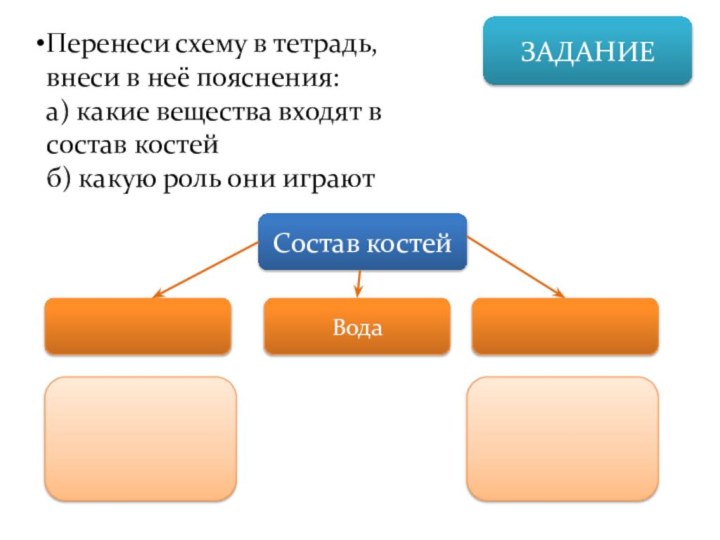 ЗАДАНИЕПеренеси схему в тетрадь, внеси в неё пояснения:а) какие вещества входят в