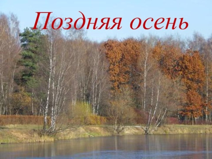 Поздняя осень