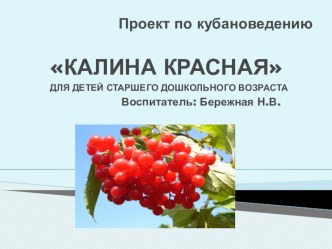 Познавательно-исследовательский проект презентация к занятию по окружающему миру (подготовительная группа) по теме