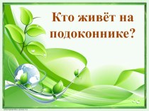 Презентация Кто живёт на подоконнике? презентация к уроку по окружающему миру (старшая группа)