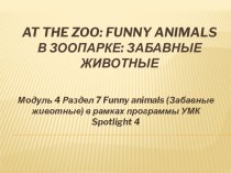 Презентация к уроку Забавные животные презентация к уроку по иностранному языку (4 класс)