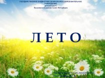 Презентация Лето презентация к уроку по окружающему миру (старшая группа)